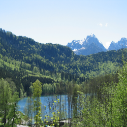 Neuschwanstein  Picture 063.jpg